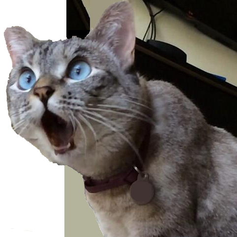 oscarclavijo80's profile picture. 