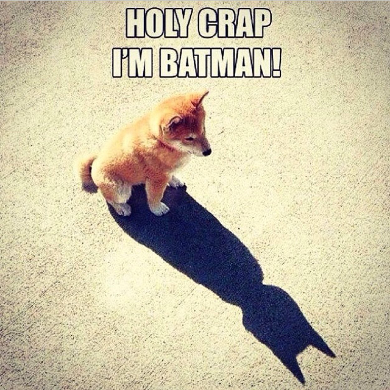 tyslagle's profile picture. waiting for wolfie to hit 6 mil