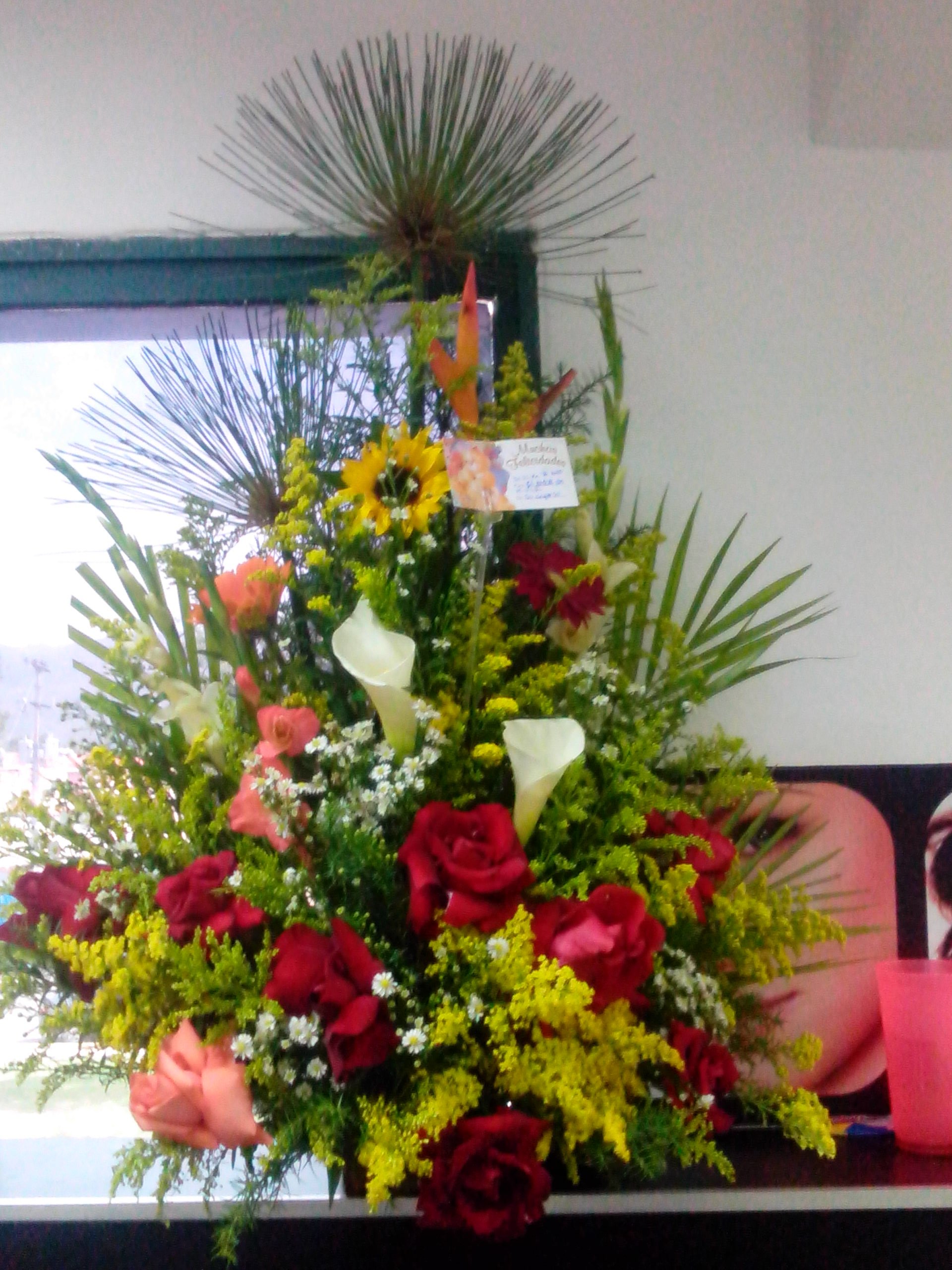 YessikadB's profile picture. Msc. En Cs  de la Educación,  amante de las Personas con Diversidad Funcional