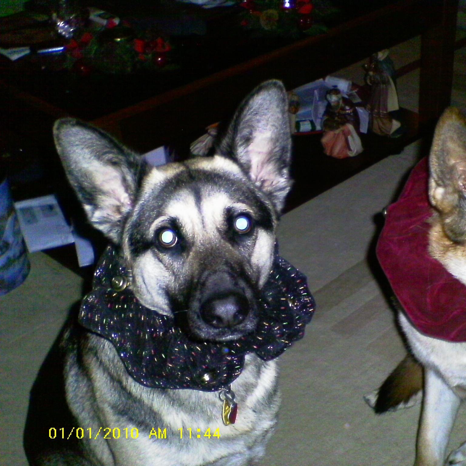 annieridener1's profile picture. 