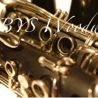 Great Prices on Woodwind instruments for all levels!  Only trusted brands used or new!