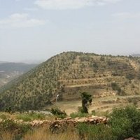 الحنين الى الماضي (@abdthy111) 's Twitter Profile