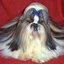 Amanda Edge - @aedge47 - Twitter