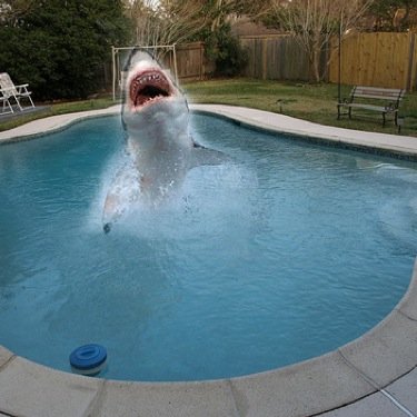 It's pronounced Pa-ool