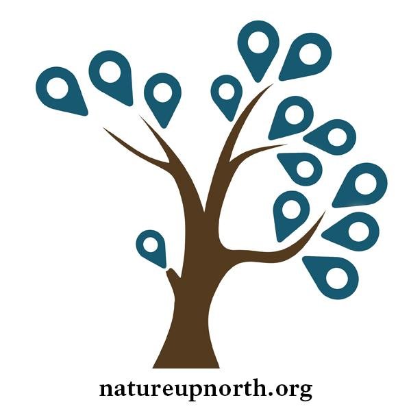 Nature Up North is a community-based organization working to foster a deeper sense of connection to the North Country. Visit us at https://t.co/56rqN2lFM6