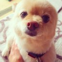 SHINA (@05girl05) Twitter