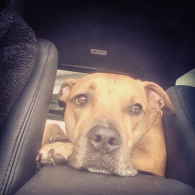 pitswelove's profile picture. 