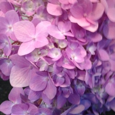 penuchie19's profile picture. 