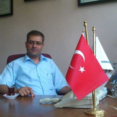 insan