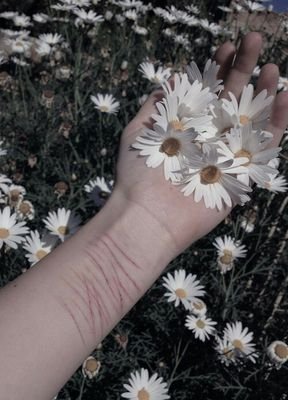 you can find a lot of quotes here if you ever need help just send me a message ;)