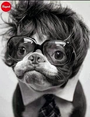 Web Developer with Symfony. Photography enthusiast and electric bass player. Raspberry Pi owner.