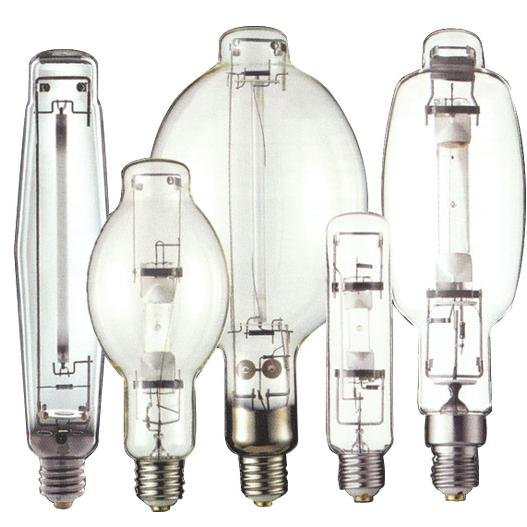 We love bulbs. We love ballasts. We love lights. Like Mr. Brick Tamland, we love lamp!