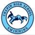 Chapin Swimming (@chapin_swimming) Twitter profile photo