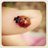 sono_silvia's profile image