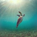 jose morga - @josep_morga - Twitter