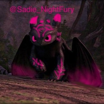 Hi I'm Sadie, and I'm a nightfury so most people don't know i exist.|I need a rider and a mate.| #openRP #single female•|•RIP Robin Williams -,'_',-