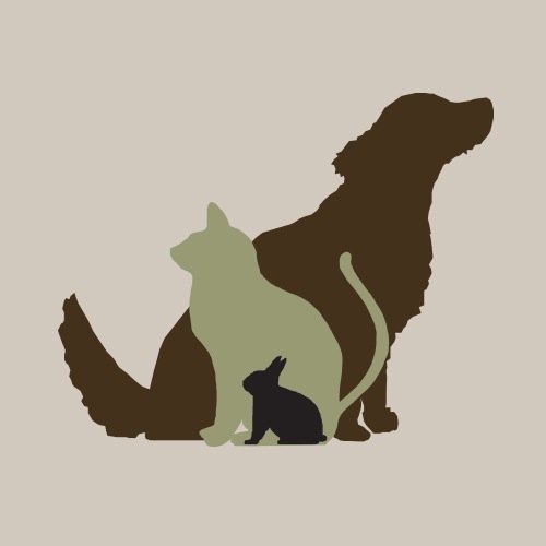 We are a family-owned clinic dedicated to providing the best care for your pets.