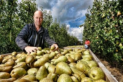 teler milieukeur appels en peren. afdelingsbestuur LTOnoord Bunnik/Houten.