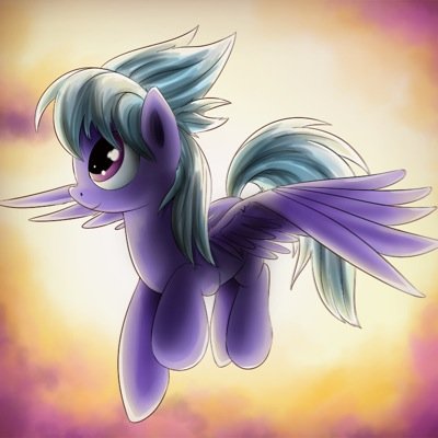 What's up I'm Cloud Chaser I live with my twin sister Flitter, I'm training to be a WonderBolt oneday hopfully!