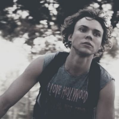 free follow from @festivenjhoran, follow if you'd like (: