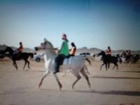 واذ غابو نفرش داعاوينا لهم يارب لو هم طيبين ؟
زدهم بفراقنا فرح ، حنا يارب مسامحين اللي رحل واللي جرح