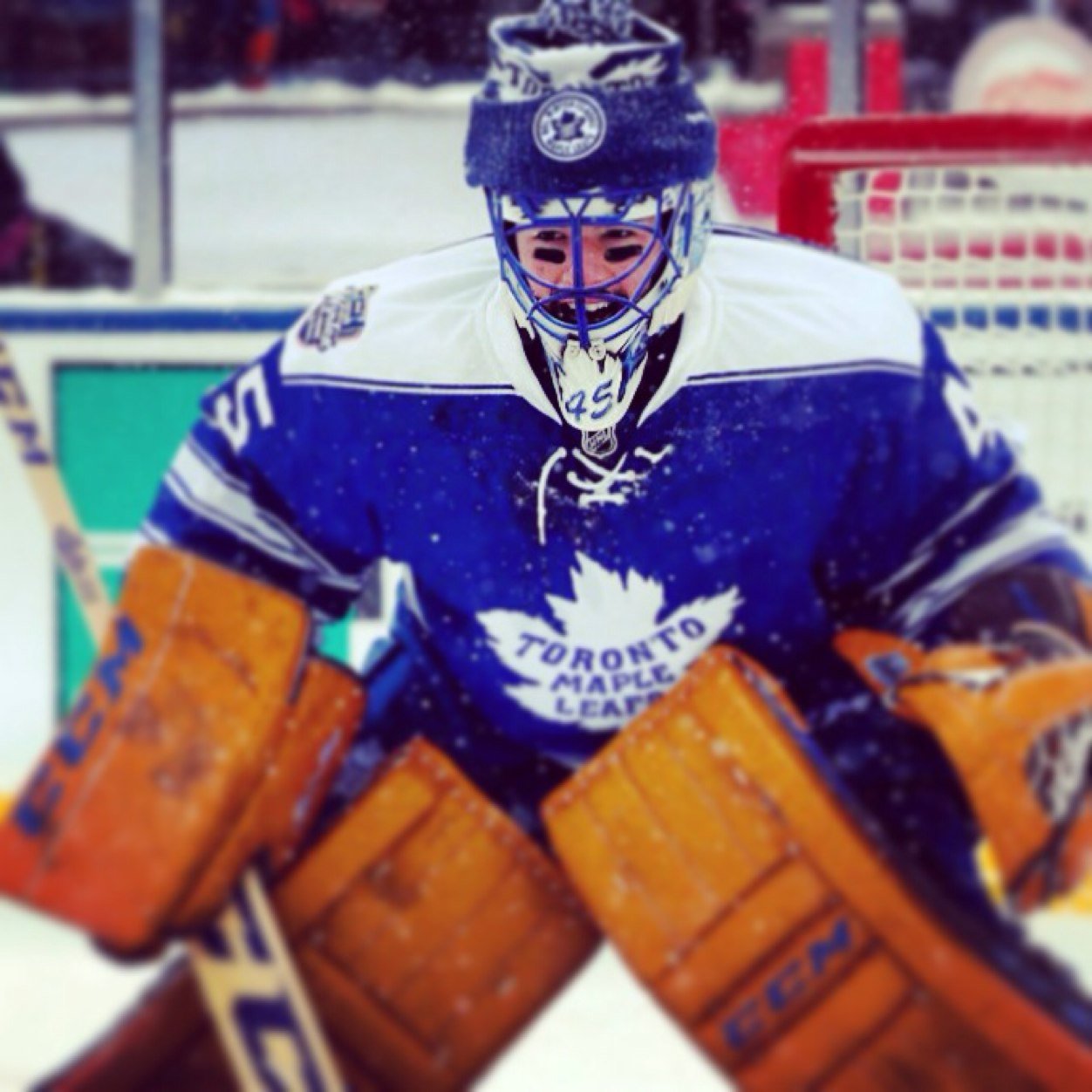 AVID LEAFS FAN