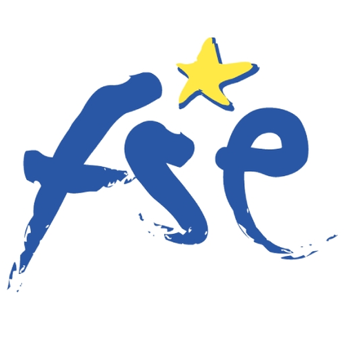 FSE Profile