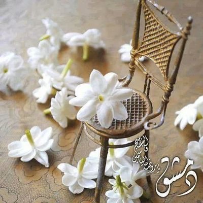 English teacher ~Jeddah ~