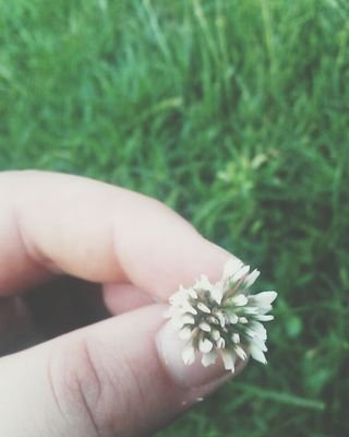 gdosjxigcoydt's profile picture. 