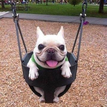 Suitable_Shares's profile picture. Get today's viral and trending videos right in your twitter feed - follow us - you won't regret it!