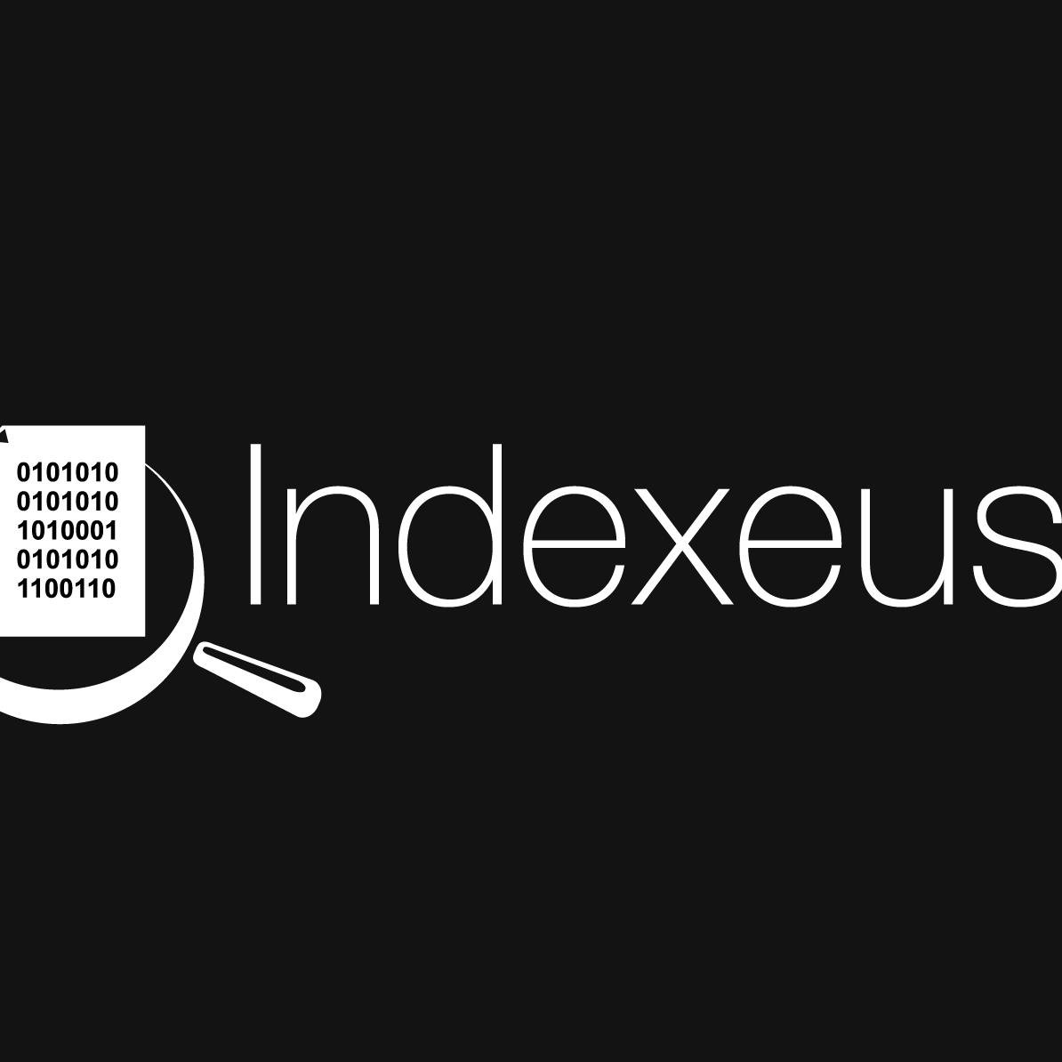 Official Twitter of Indexeus! Account recovery, People Search & Consultancy made easy!