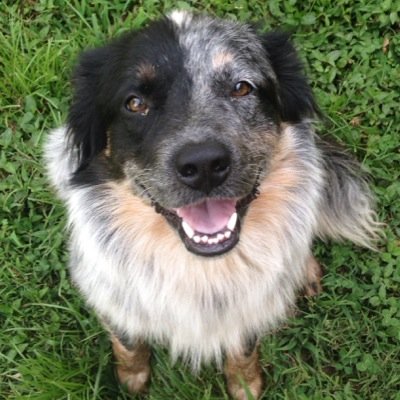 Logan_Kynard's profile picture. My mom screams at me every day so the only think that will make my day is eating Taco Casa