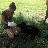 Fallon Ware (@fallon_ware) 's Twitter Profile