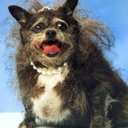 Chris Mazz - @merrychrismazz - Twitter