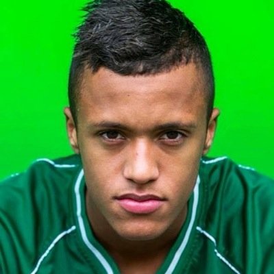 De Fanclub van alleskunner, Topspits en geweldenaar Richairo Zivkovic