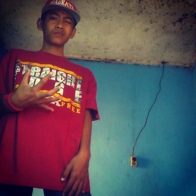 skakins