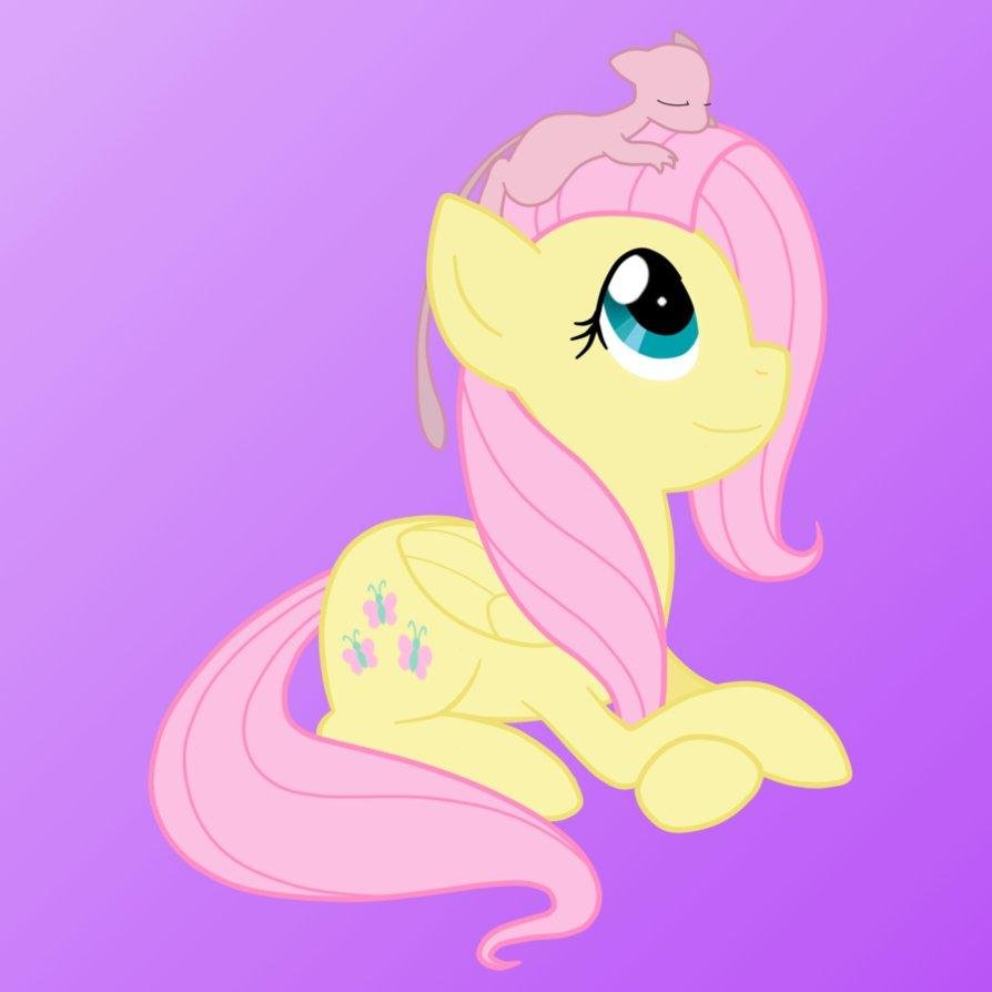 all flluttershy fans plz follow me