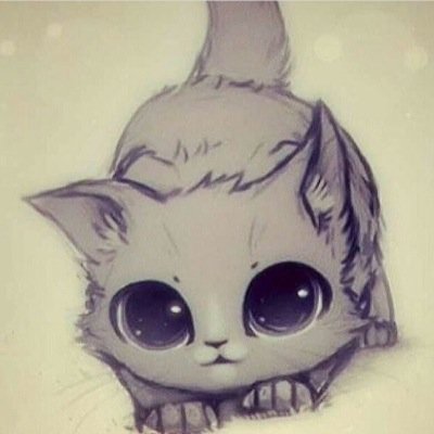 Hi willow warriors! I am a warrior cat In leaf clan! My insta is ask_willowtail_swag :3 hope you like my account and follow me! also, posts cat pics! Meow!