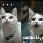 girl_fromDallas's profile picture. Cameron é um gostoso mas isso é fato,sigo tds de volta