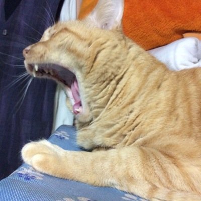 パチンコ依存症でしたが、なんとか止められました もし止められないのならまず真実を知るべきだと思います (なぜパチンコは悪なのか)⇦この動画を検索してみてください
あと(サブミナル効果 パチンコ) (メディアは報じないパチンコ業界の闇)
などもググってみてください 真実は、情報を操作されて隠されています。