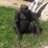 binger99's profile image