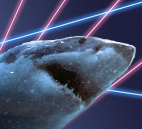 Shark news feed. You're gonna need a bigger boat.