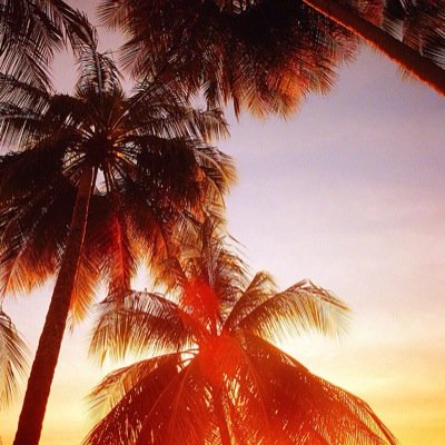 Beau_Becker11's profile picture. 