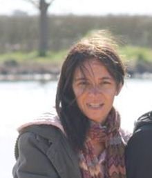 anidealarcon's profile picture. 