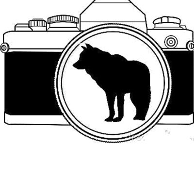Wolf Run's EverWild Ambassadors 

Experiencing the wild through photography, film, and education.