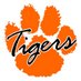 Five Star Tigers (@fivestartigers) Twitter profile photo