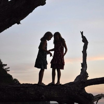 saradspalding's profile picture. 