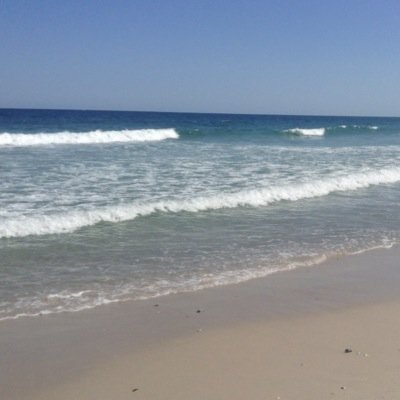 TRosands's profile picture. 