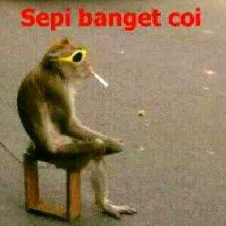 bano_joni's profile picture. 