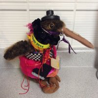 Mariposa Dance (@mariposadancers) 's Twitter Profile Photo
